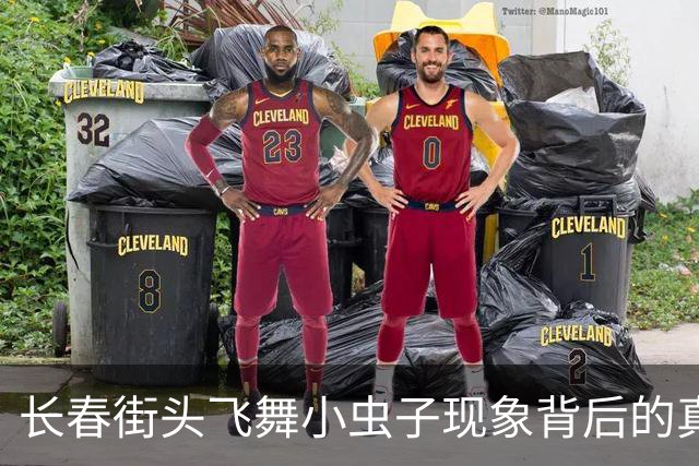 长春街头飞舞小虫子现象背后的真相